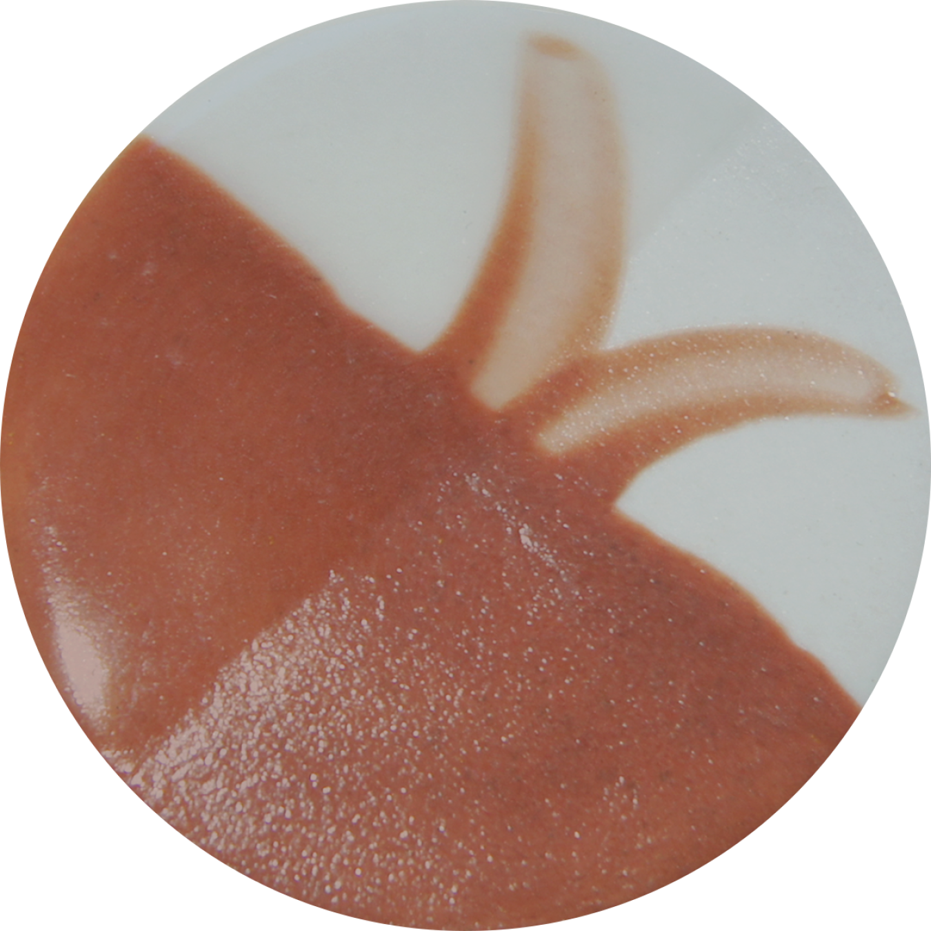 CC Mousy Brown - 500ml