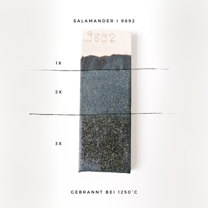 Salamander - 9892