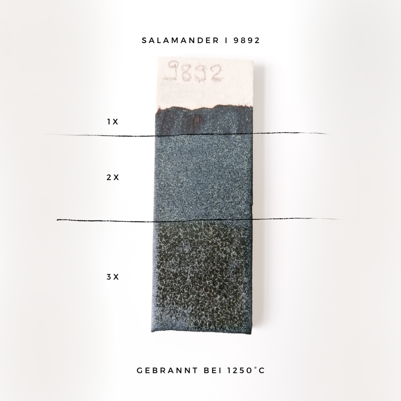Salamander - 9892