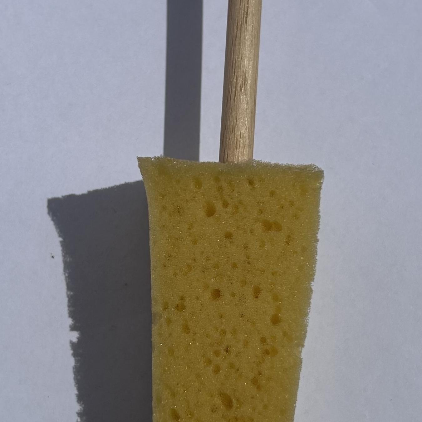 Pyramid sponge on stick
