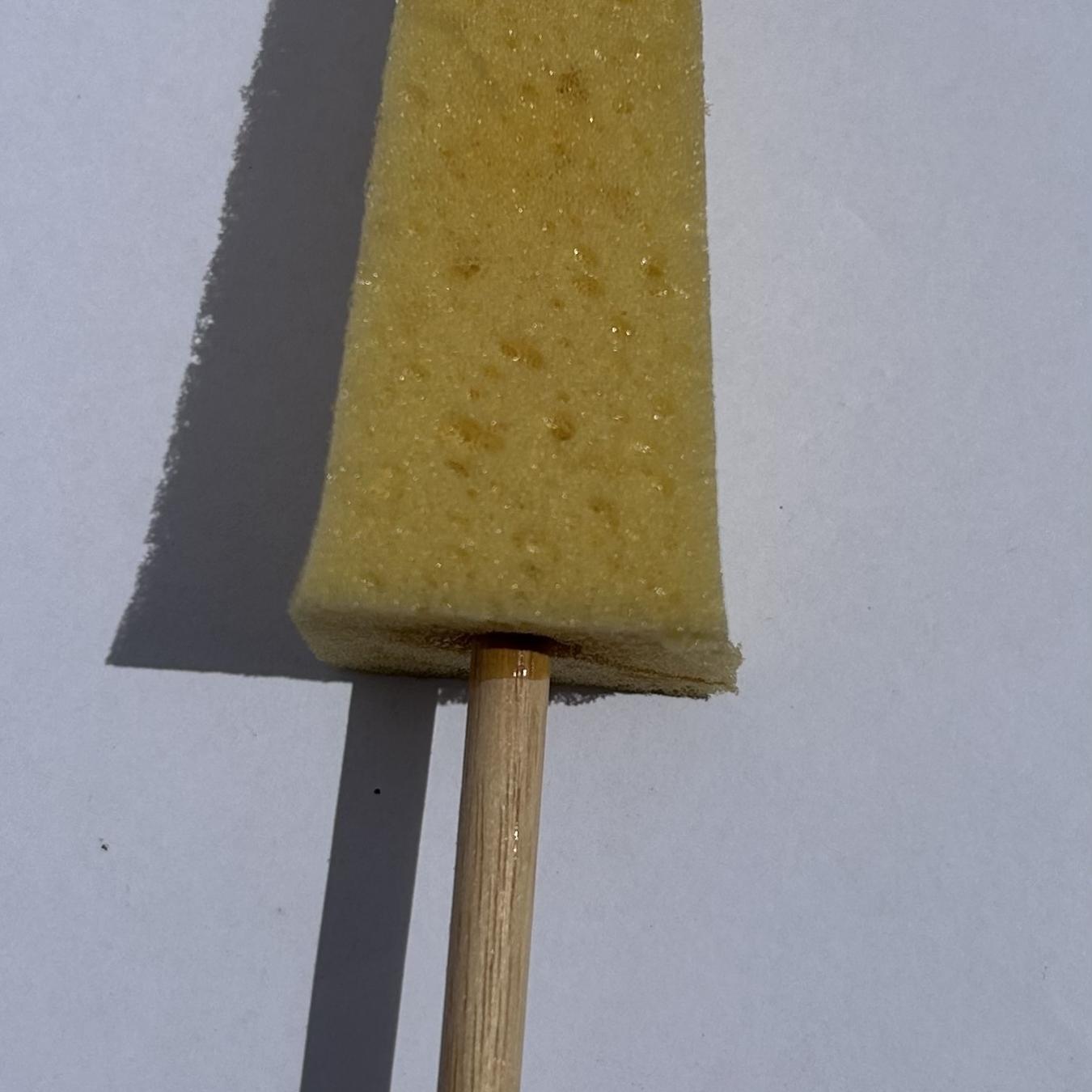 Pyramid sponge on stick