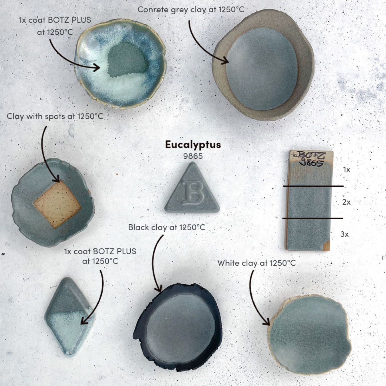 Eucalyptus - 9865